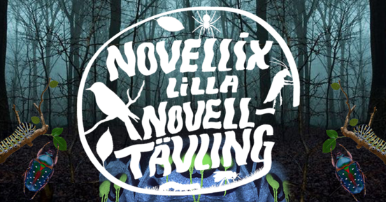 Bild Novelltävling
